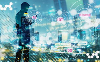 智能賦能 人工智能應用軟件開發驅動中國經濟高質量發展